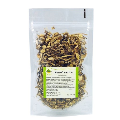 Korzeń sadźca 40g MEDI-FLOWERY