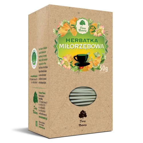 Herbatka Miłorzębowa fix 25*2g DARY NATURY