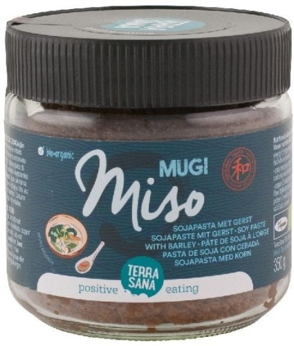 MUGI MISO (SOJA PASTA MET GERST) BIO 350 g - TERRASANA