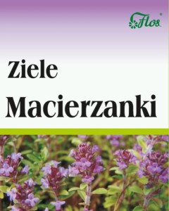 Flos Macierzanka Ziele 50G Wspiera Układ Pokarmowy