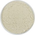 BIO PULVERIERTE PILLENSCHALEN (ROHMATERIAL) (25 kg) 2