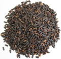 RYŻ CZARNY PEŁNOZIARNISTY (UPRAWIANY W EUROPIE) BIO (SUROWIEC) (20 kg)