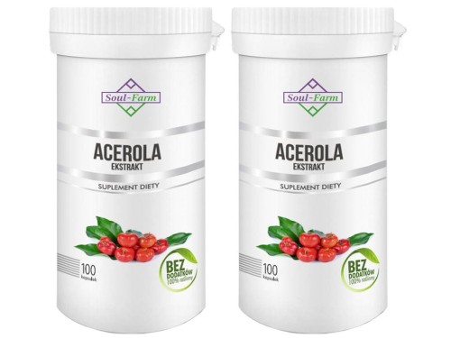 ACEROLA EKSTRAKT 60 KAPSUŁEK (600 mg) - SOUL FARM