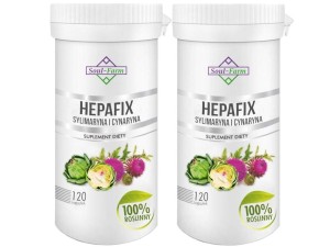 HEPAFIX SILIMARIN UND CYNARIN 60 KAPSELN (560 mg) - SOUL FARM