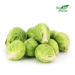 BIO FRESH BRÜSSEL (POLEN) (ca. 0,50 kg)