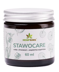 STAWOCARE SALBE 60 ml - HEMPKING