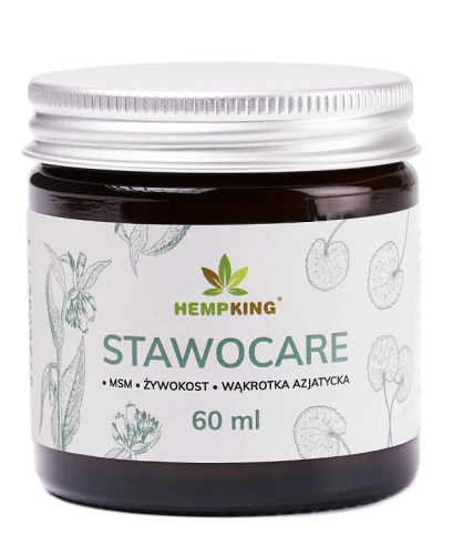STAWOCARE SALBE 60 ml - HEMPKING