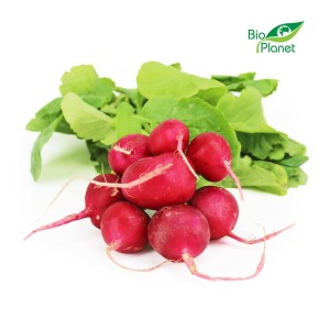 RADISHES FRESH BIO (POLAND) (about 0.20 kg)
