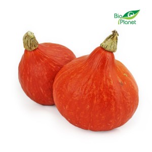 MULTIPACK (kg) - FRESH BIO HOKKAIDO PUMPKIN (POLAND) (approx. 10 kg)