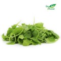 Verse, ongewassen rucola (ongeveer 0,100 kg)