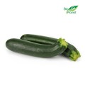 MULTIVERPAKKING (kg) - BIO VERSE Courgette (ongeveer 5 kg)