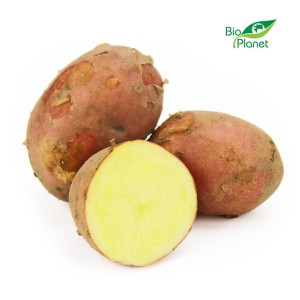 MULTIVERPAKKING (kg) - RODE AARDAPPELEN, VERS BIO (POLEN) (ongeveer 10 kg)