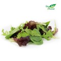 BIO FRESH SALAD MIX (about 0.125 kg)