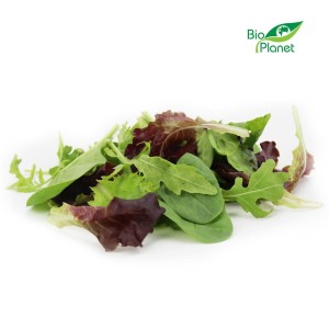 BIO FRESH SALAD MIX (about 0.125 kg)