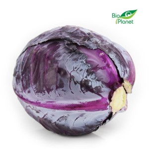 RODE KOOL BIO (POLEN) (ongeveer 1,20 kg)