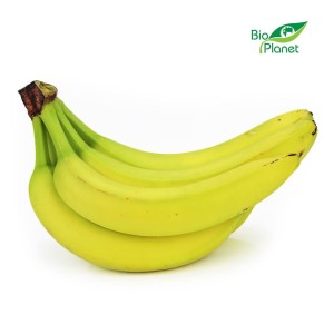 BANANEN FRISCH BIO (etwa 1,00 kg)