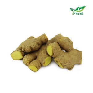 COLLECTIVE PACKAGE (kg) - FRESH GINGER BIO (AROUND 2 kg)