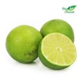 FRESH LIME BIO (about 0.25 kg)