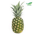 MULTIPACK (stuks) - BIO VERSE ANANAS (ongeveer 12 stuks)