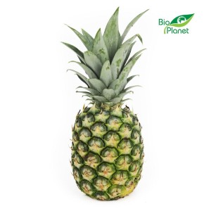 BIO VERSE ANANAS (ongeveer 0,80 kg)