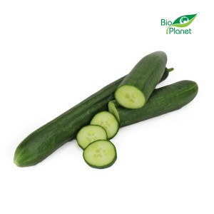 LANGE VERSE KOMKOMMER BIO (ongeveer 0,25 kg)