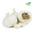 FRESH GARLIC BIO (AROUND 0,20 kg)