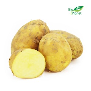 MULTIPACK (kg) -  POTATOES FRESH BIO (POLAND) (about 10 kg)