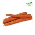 MULTIPACK (kg) - UNWASHED CARROT, FRESH BIO (POLAND) (about 10 kg)