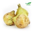 YELLOW ONION BIO (POLAND) (about 1.00 kg)