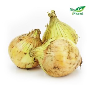 YELLOW ONION BIO (POLAND) (about 1.00 kg)