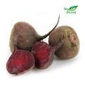 Frische Rote Bete BIO (polnisch) (ca. 1 kg)