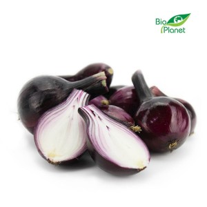 MULTIPACK (kg) - FRESH RED ONION (POLAND) BIO (about 5 kg)