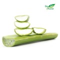MULTIPACK (kg) - FRESH BIO ALOE  (about 4 kg)