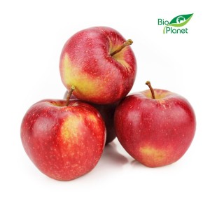 BIO VERSE APPEL (GALA-POLSKA) (ongeveer 1,00 kg)