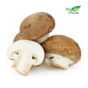 MULTIPACK (kg) -  BROWN MUSHROOMS FRESH BIO (POLAND) (about 3 kg)