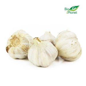 VERSE BIO KNOFLOOK (POLEN) (ongeveer 125 g)