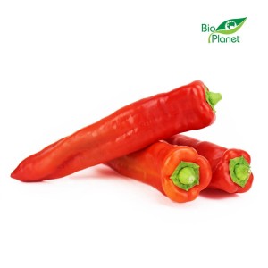LONG FRESH BIO PEPPERS (about 0.60 kg)