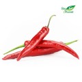 BIO VERSE CHILI PEPERS (ongeveer 0,10 kg)