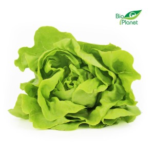 BUNDELPAKKET (stuks) - BIO VERSE BOTERLETTLE (POLEN) (ongeveer 8 stuks)