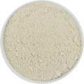 BIO PULVERIERTE PILLENSCHALEN (ROHMATERIAL) (25 kg) 2