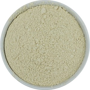 Reisproteinpulver BIO (Rohstoff) (25 kg)