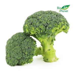 Großpackung (kg) - FRISCHER BIO-Brokkoli (ca. 5 kg)