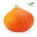 MULTIPACK (kg) - VERSE BIO HOKKAIDO POMP (ca. 10 kg)