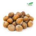 BULK PACK (kg) - BIO HAZELNUTS (POLAND) (approx. 5 kg)