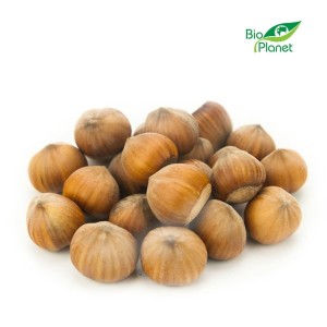 BULK PACK (kg) - BIO HAZELNUTS (POLAND) (approx. 5 kg)
