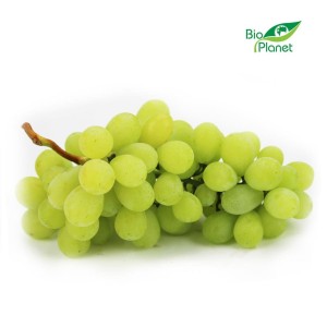 MULTIPACK (kg) - WHITE GRAPES, FRESH BIO (about 6 kg)