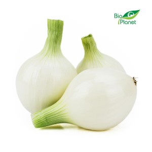 FRESH BIO WHITE ONION (POLAND) (about 1.00 kg)