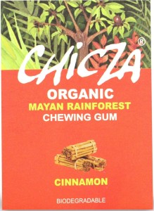 CHEWING GUM CINNAMON BIO 30 g - CHICZA
