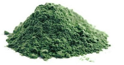 SPIRULINA SPROSZKOWANA BIO (SUROWIEC) (25 kg)