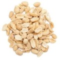 ORZESZKI ZIEMNE PRAŻONE SOLONE BIO (SUROWIEC) 10 kg